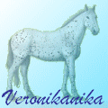 av veronikanika