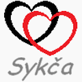 Avatar pro Sykča